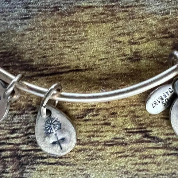 Alex and Ani | Mom, Expandable Rafaelian Bangle Bracelet. - Picture 9 of 9